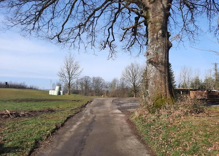 Dörflich Apartment *